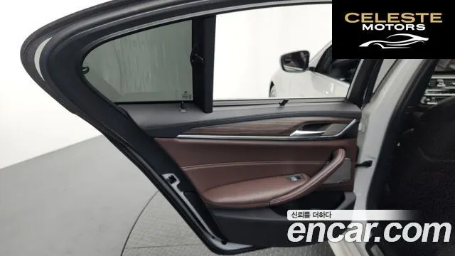 BMW Série 5 (G30) 520d xDrive M Sport Plus 2020 — photo 15 sur 40