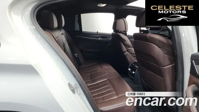 BMW Série 5 (G30) 520d xDrive M Sport Plus 2020 — photo 17 sur 40