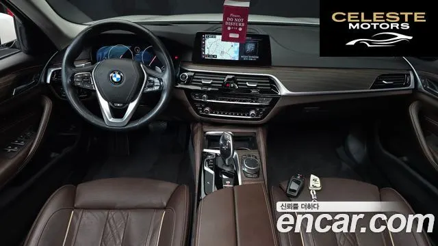 BMW Série 5 (G30) 520d Luxury Plus 2019 — photo 10 sur 32