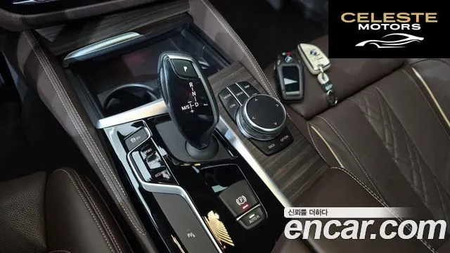 BMW Série 5 (G30) 520d Luxury Plus 2019 — photo 12 sur 32