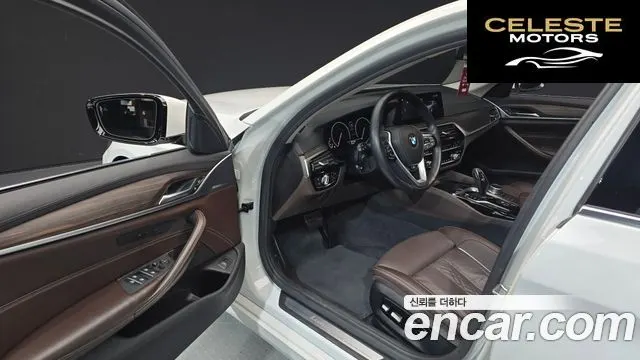 BMW Série 5 (G30) 520d Luxury Plus 2019 — photo 13 sur 32