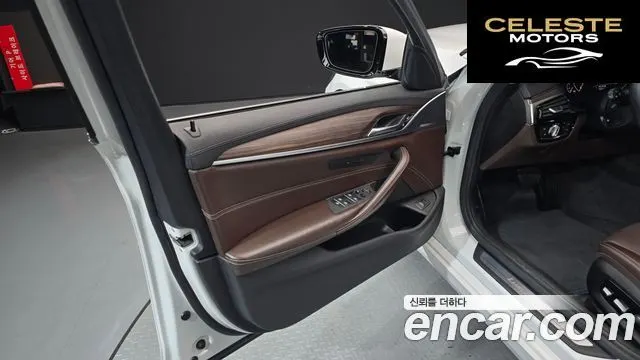 BMW Série 5 (G30) 520d Luxury Plus 2019 — photo 14 sur 32