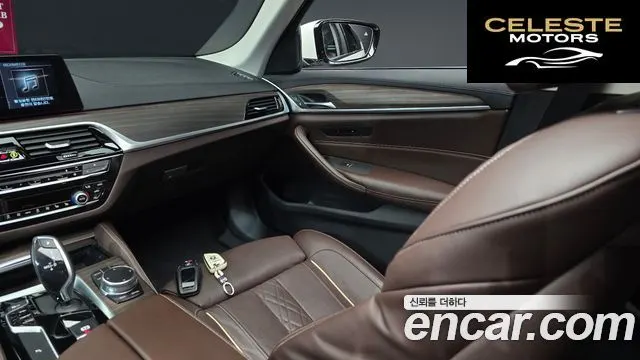 BMW Série 5 (G30) 520d Luxury Plus 2019 — photo 16 sur 32