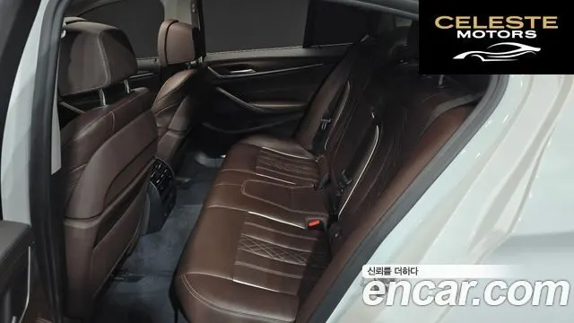 BMW Série 5 (G30) 520d Luxury Plus 2019 — photo 17 sur 32