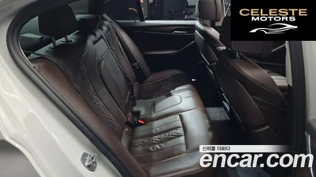 BMW Série 5 (G30) 520d Luxury Plus 2019 — photo 18 sur 32