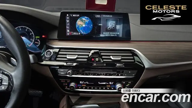 BMW Série 5 (G30) 520d Luxury Plus 2019 — photo 20 sur 32