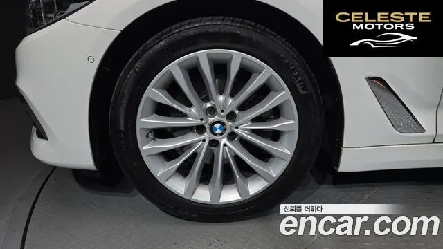 BMW Série 5 (G30) 520d Luxury Plus 2019 — photo 5 sur 32