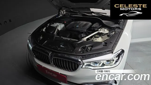 BMW Série 5 (G30) 520d Luxury Plus 2019 — photo 6 sur 32