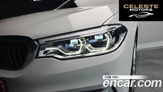 BMW Série 5 (G30) 520d Luxury Plus 2019 — photo 8 sur 32