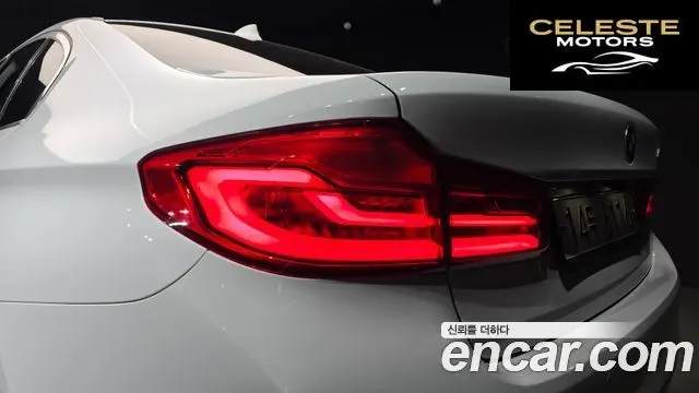 BMW Série 5 (G30) 520d Luxury Plus 2019 — photo 9 sur 32