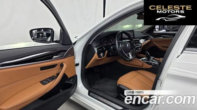 BMW Série 5 (G30) 520i Luxury 2020 — photo 10 sur 20