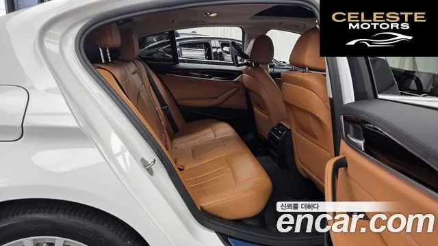BMW Série 5 (G30) 520i Luxury 2020 — photo 12 sur 20
