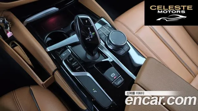 BMW Série 5 (G30) 520i Luxury 2020 — photo 9 sur 20