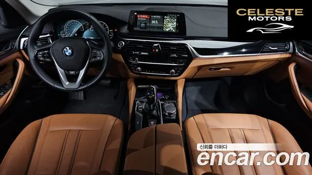 BMW Série 5 (G30) 520i Luxury 2018 — photo 10 sur 33