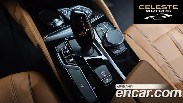 BMW Série 5 (G30) 520i Luxury 2018 — photo 12 sur 33