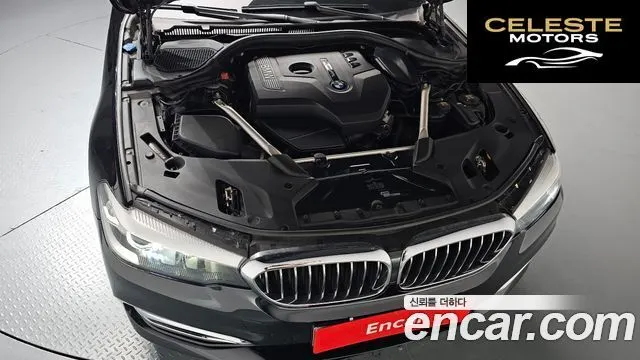 BMW Série 5 (G30) 520i Luxury 2018 — photo 6 sur 33