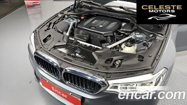 BMW Série 5 (G30) 520d M Sport Plus 2018 — photo 6 sur 33