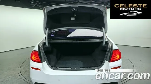 BMW Série 5 (F10) 520d 2011 — photo 20 sur 20