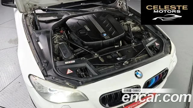 BMW Série 5 (F10) 520d 2011 — photo 6 sur 20