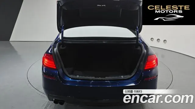 BMW Série 5 (F10) 520d M Aéro Dynamic 2016 — photo 20 sur 20