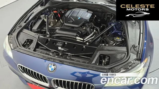 BMW Série 5 (F10) 520d M Aéro Dynamic 2016 — photo 6 sur 20
