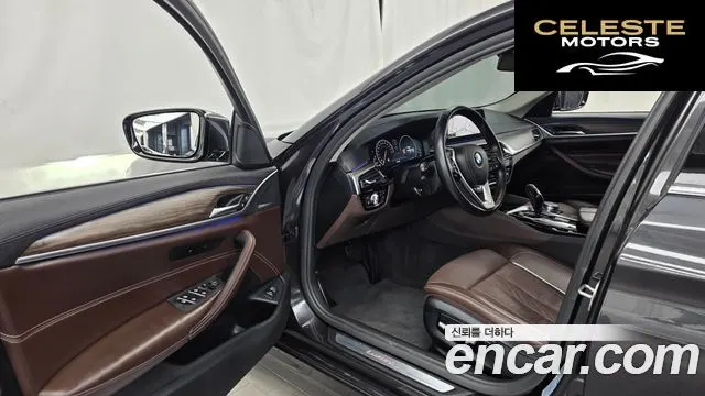 BMW Série 5 (G30) 520d xDrive Luxury Plus 2019 — photo 13 sur 35