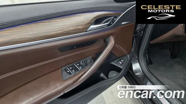 BMW Série 5 (G30) 520d xDrive Luxury Plus 2019 — photo 35 sur 35