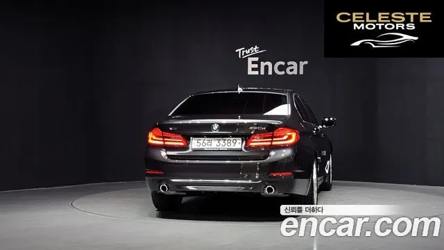 BMW Série 5 (G30) 520d xDrive Luxury Plus 2019 — photo 4 sur 35