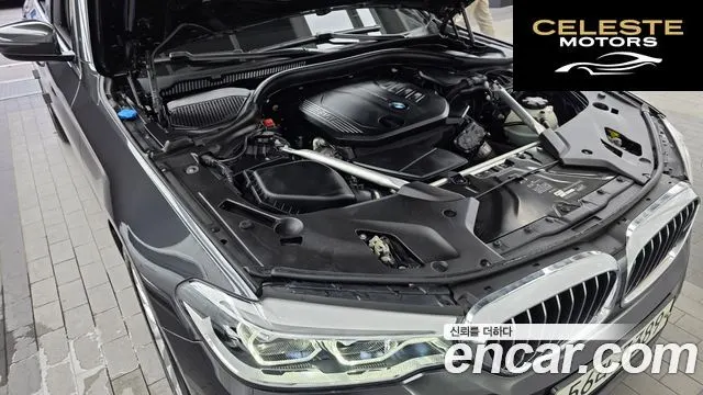 BMW Série 5 (G30) 520d xDrive Luxury Plus 2019 — photo 6 sur 35