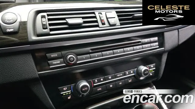 BMW Série 5 (F10) 520d Luxury 2014 — photo 16 sur 20