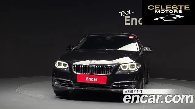 BMW Série 5 (F10) 520d Luxury 2014 — photo 3 sur 20