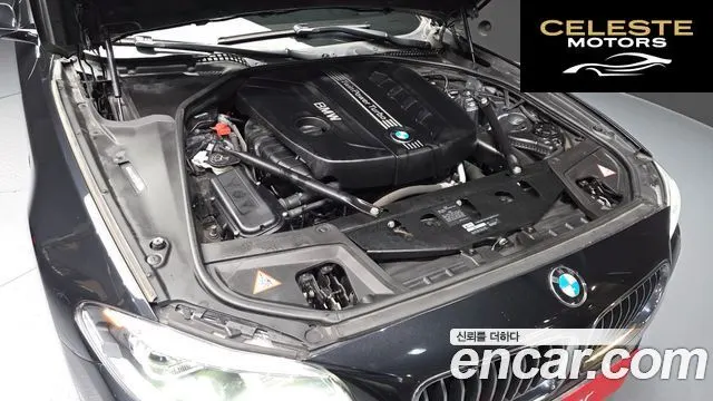 BMW Série 5 (F10) 520d Luxury 2014 — photo 6 sur 20