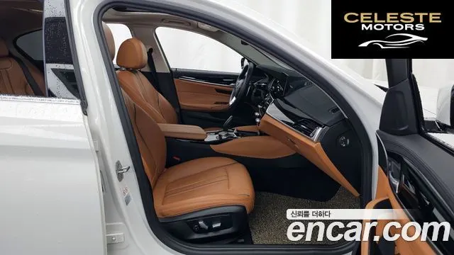 BMW Série 5 (G30) 520d Luxury Spécial Edition 2018 — photo 11 sur 20