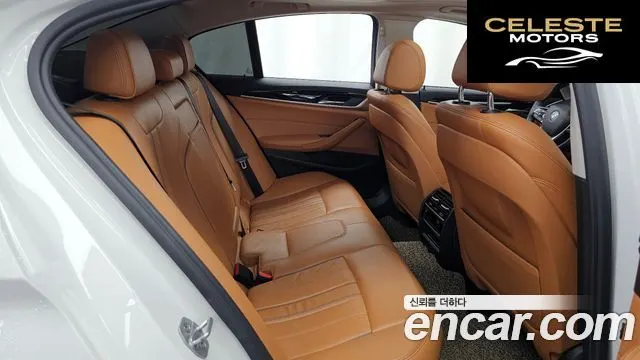 BMW Série 5 (G30) 520d Luxury Spécial Edition 2018 — photo 12 sur 20