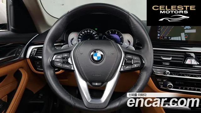 BMW Série 5 (G30) 520d Luxury Spécial Edition 2018 — photo 13 sur 20