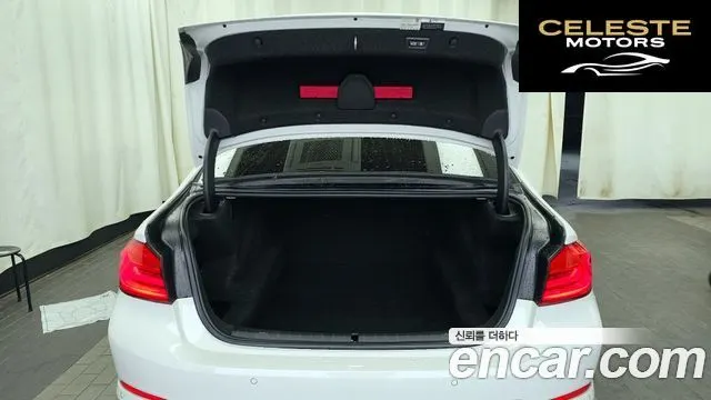 BMW Série 5 (G30) 520d Luxury Spécial Edition 2018 — photo 20 sur 20