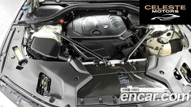 BMW Série 5 (G30) 520d Luxury Spécial Edition 2018 — photo 6 sur 20