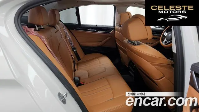 BMW Série 5 (G30) 520i Luxury 2022 — photo 12 sur 20