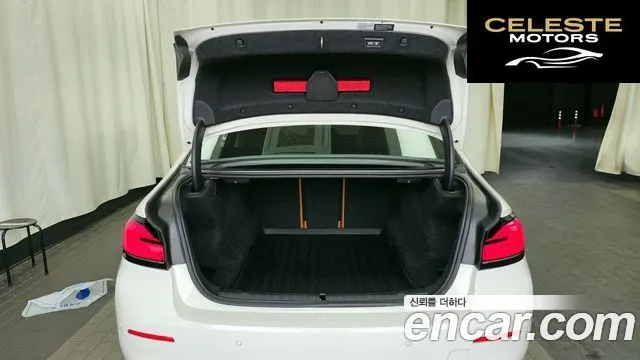 BMW Série 5 (G30) 520i Luxury 2022 — photo 20 sur 20