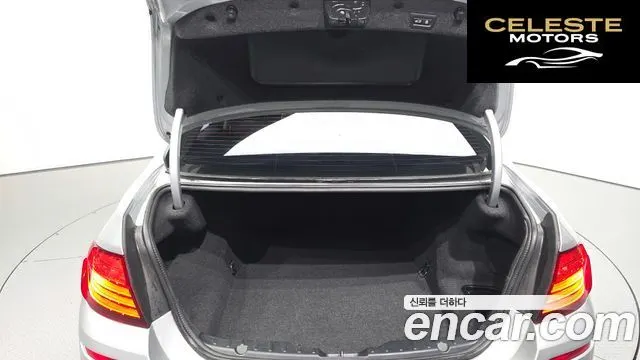 BMW Série 5 (F10) 520d xDrive M Aéro Dynamic 2016 — photo 20 sur 20