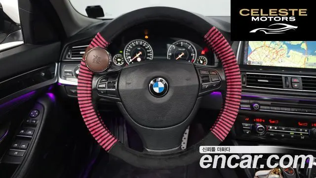 BMW Série 5 (F10) 520d xDrive 2015 — photo 13 sur 20