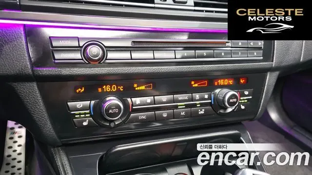 BMW Série 5 (F10) 520d xDrive 2015 — photo 16 sur 20