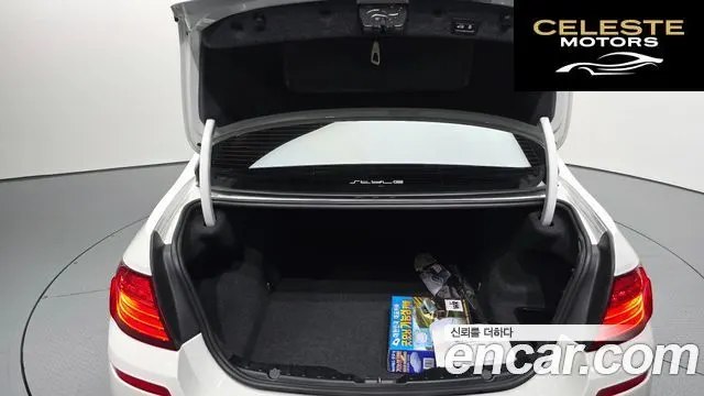 BMW Série 5 (F10) 520d xDrive 2015 — photo 20 sur 20