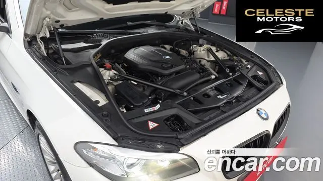BMW Série 5 (F10) 520d xDrive 2015 — photo 6 sur 20