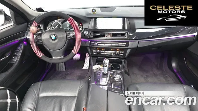 BMW Série 5 (F10) 520d xDrive 2015 — photo 7 sur 20