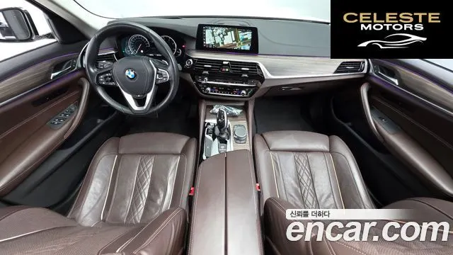 BMW Série 5 (G30) 520d xDrive Luxury Plus 2018 — photo 10 sur 34