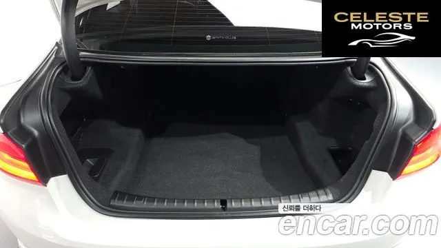 BMW Série 5 (G30) 520d xDrive Luxury Plus 2018 — photo 33 sur 34