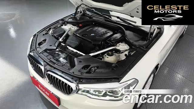 BMW Série 5 (G30) 520d xDrive Luxury Plus 2018 — photo 6 sur 34
