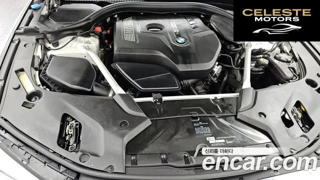 BMW Série 5 (G30) 530i Luxury Plus 2018 — photo 6 sur 33