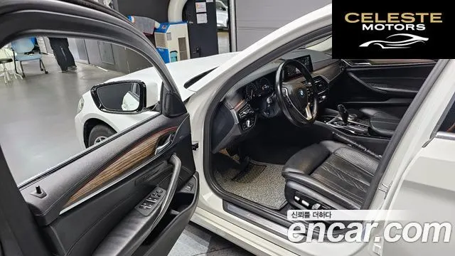 BMW Série 5 (G30) 520d Luxury Plus 2019 — photo 10 sur 20